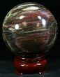 Colorful Petrified Wood Sphere #26618-1